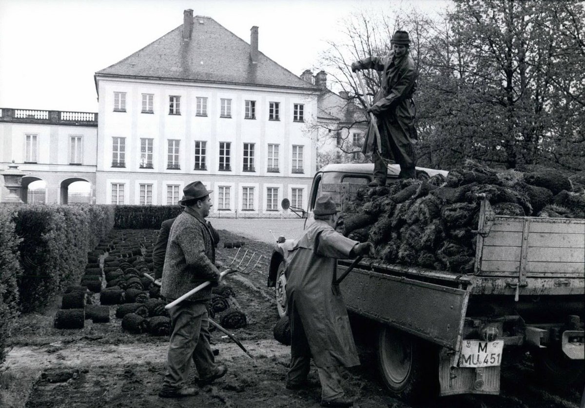 Schwarz-Weiß-Fotografie von drei Bauarbeiter, die Gras auf ein Auto laden.