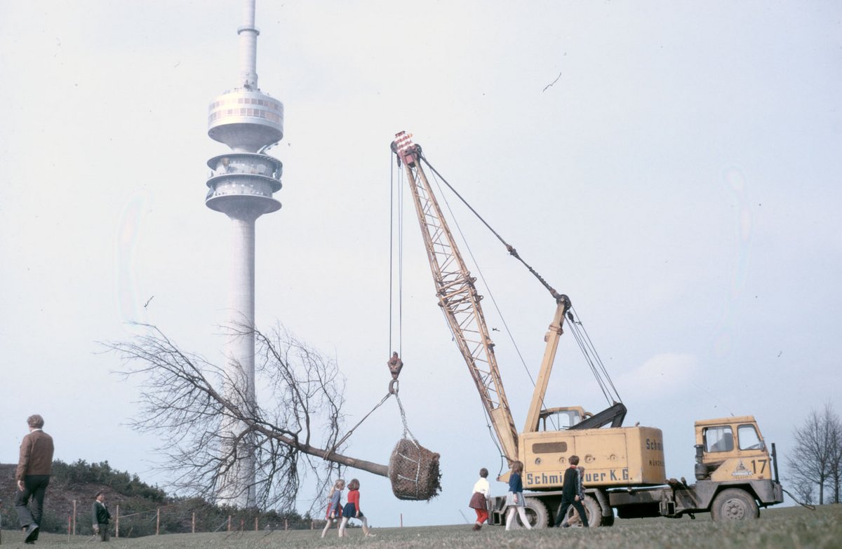 Fotografie eines Aussichtsturms und eines Lastkraftwagens der einen Baum einpflanzt